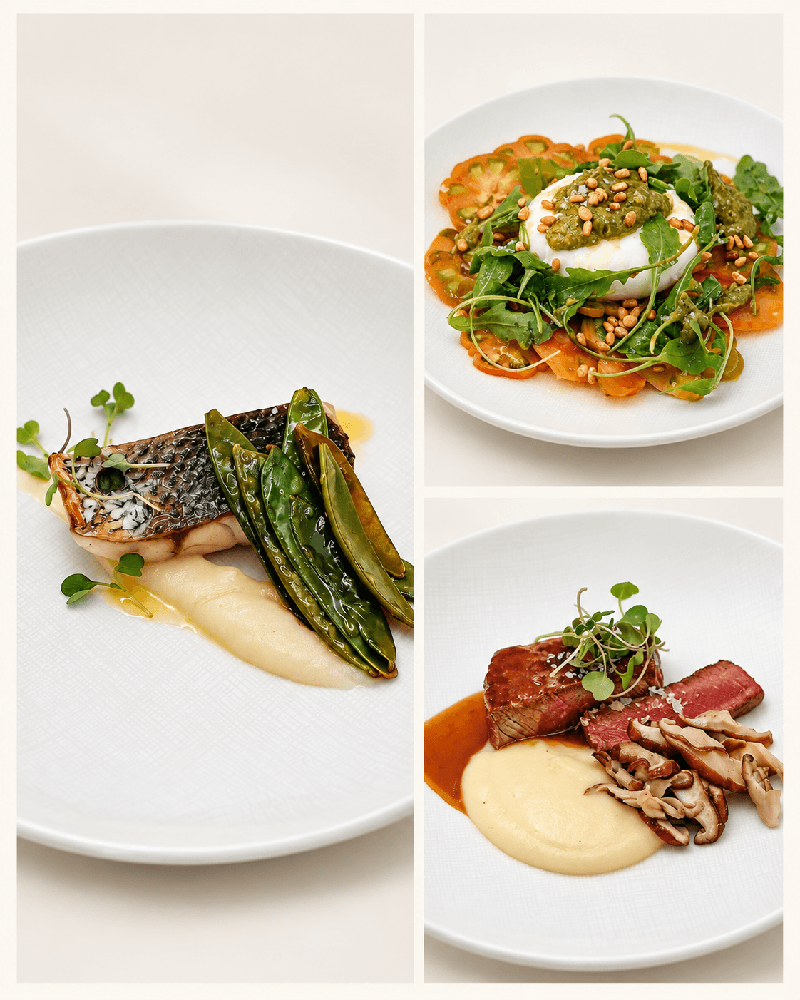 Selección de platos de Eventos Agus